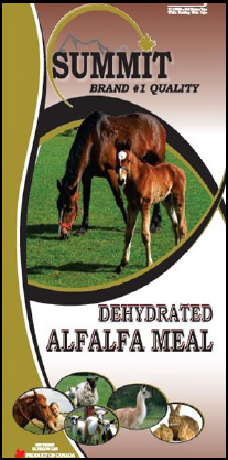 Dehydrated Alfalfa Meal - Summit Forages