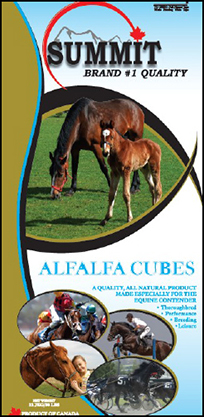 Alfalfa Cubes - Summit Forages