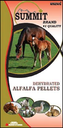 Dehydrated Alfalfa Pellets - Summit Forages