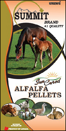 Sun Cured Alfalfa Pellets - Summit Forages