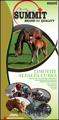 Timothy Alfalfa Cubes - Summit Forages